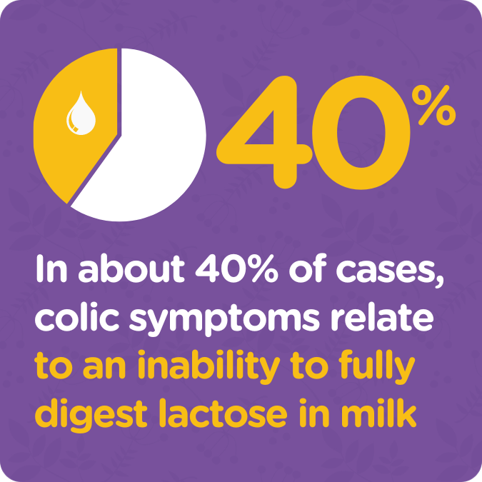 Colief Infant Lactase Enzyme Drops 15ml Baby Feeding Colief Infant Lactase Enzyme Drops 15ml | Lir Pharmacy