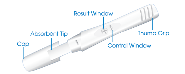 Accurate Pregnancy Test Kit ~ Double Conception