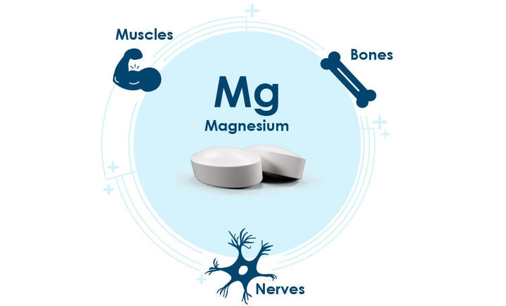 BioActive Magnesium (150) Energy and Wellbeing