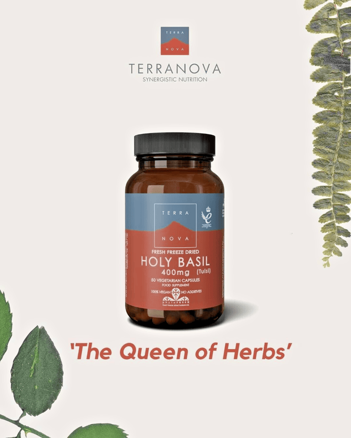 Terranova Holy Basil 400mg Capsules 50 Energy and Wellbeing Terranova Holy Basil 400mg Capsules 50 |Herbal Food Supplement Ireland