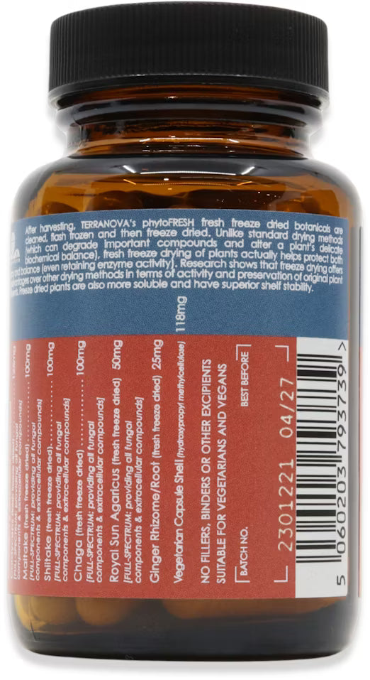 Terranova Mushroom Synergy (50) Energy and Wellbeing Terranova Mushroom Synergy (50)