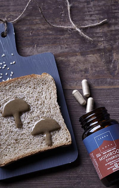 Terranova Mushroom Synergy (50) Energy and Wellbeing Terranova Mushroom Synergy (50)