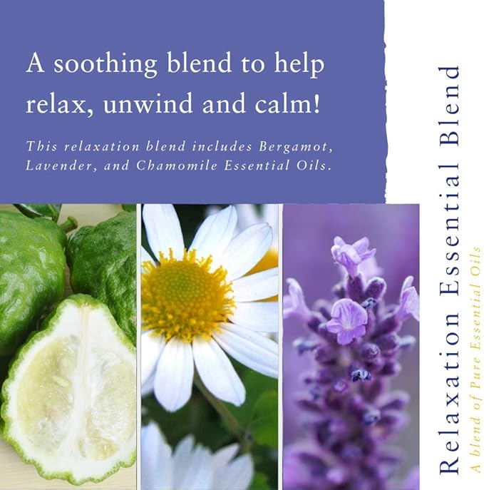 Absolute Aromas Blended Relaxation Essential Oils (10ml) Essential Oils