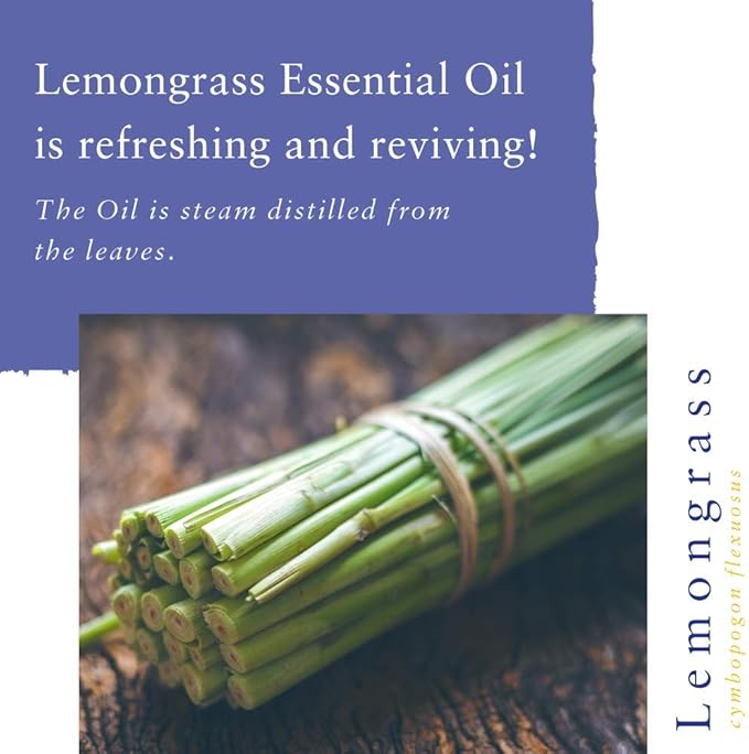 Absolute Aromas Lemongrass Essential Oil (10ml) Essential Oils