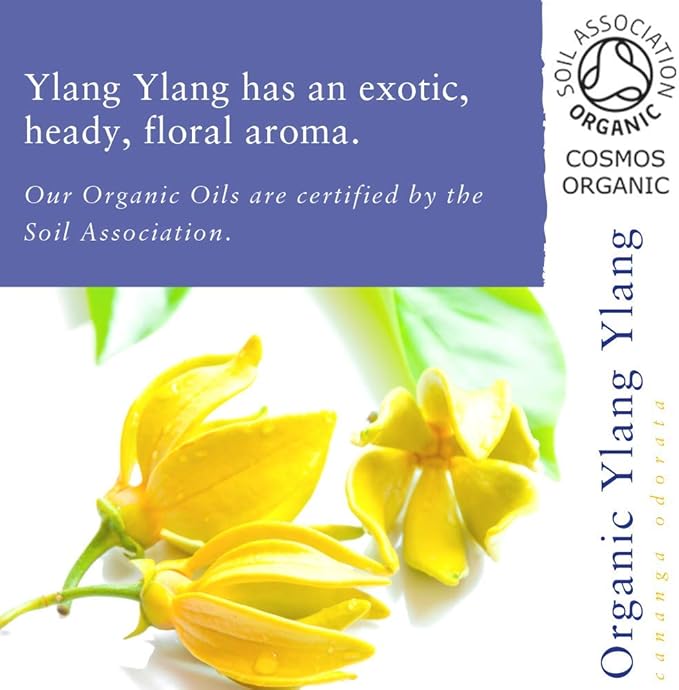 Absolute Aromas Organic Ylang Ylang Essential Oil (10ml) Essential Oils