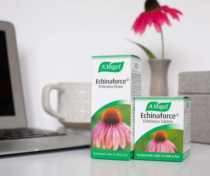 A Vogel Echinaforce Drops Echinacea (50ml) Herbal Remedies