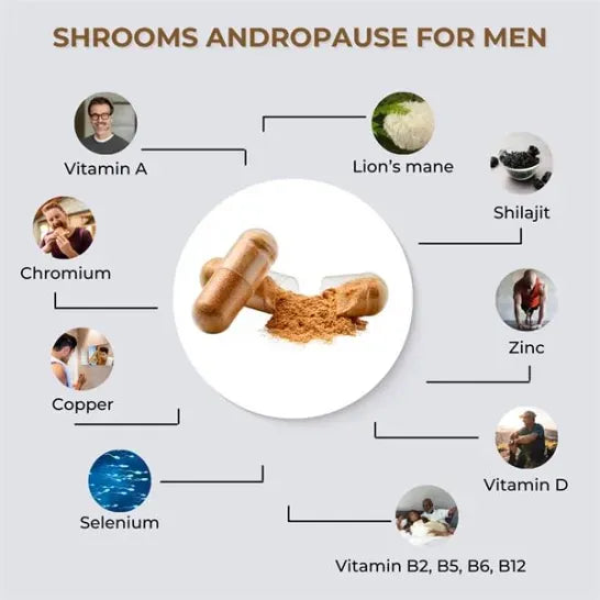 Fabu Shrooms Andropause For Men 60 Capsules Herbal Remedies Fabu Shrooms Andropause For Men 60 Capsules
