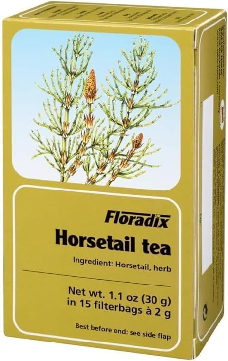 Floradix Horsetail Tea (15 Teabags) Herbal Remedies