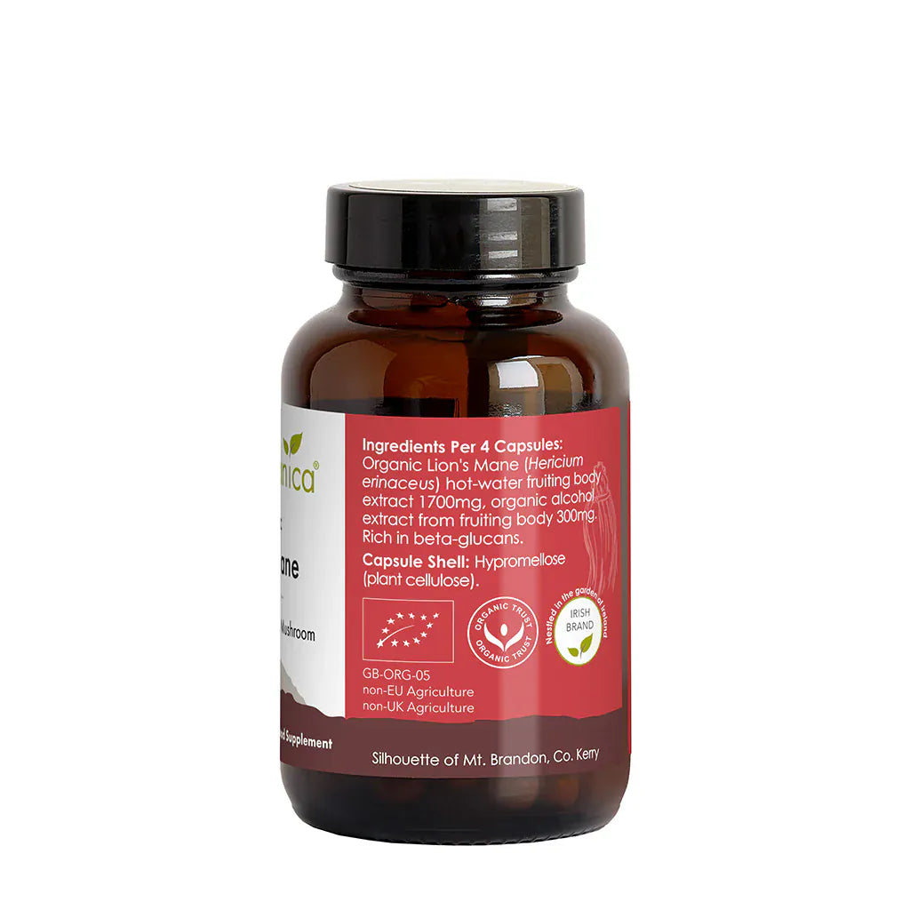 Irish Botanica Lions Mane Mushroom and Bacopa Capsules 60 Herbal Remedies Irish Botanica Lions Mane Mushroom and Bacopa Capsules 60