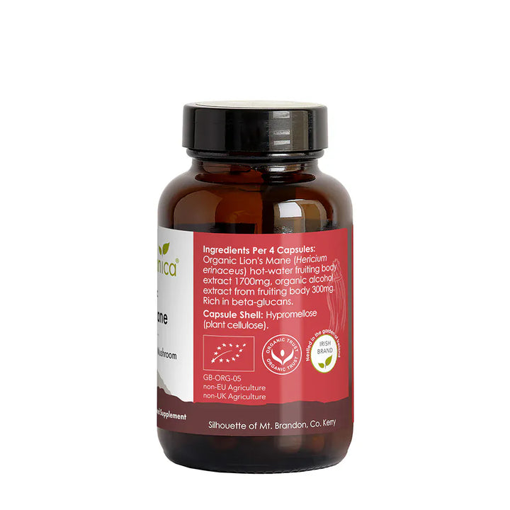 Irish Botanica Lions Mane Mushroom and Bacopa Capsules 60 Herbal Remedies Irish Botanica Lions Mane Mushroom and Bacopa Capsules 60