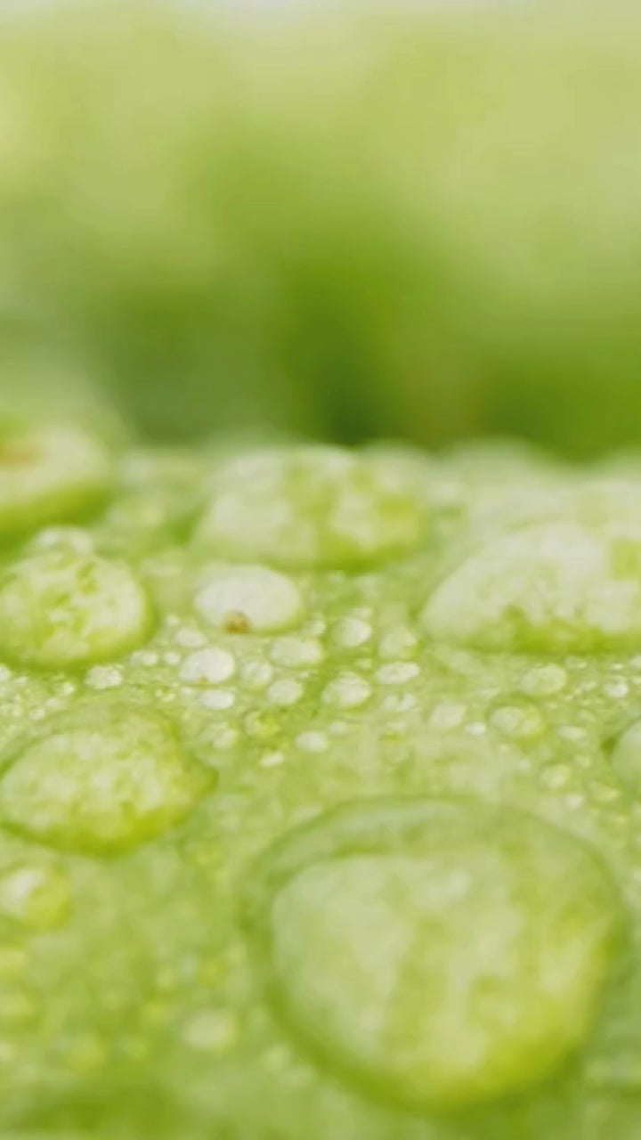 New Nordic Apple Cider 1,000mg Mega Strength 90 Tablets