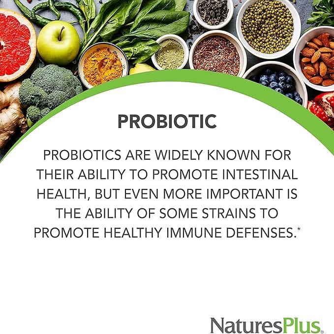 Natures Plus Immune Microbiome Probiotic 30 Capsules Probiotics Natures Plus Immune Microbiome Probiotic 30 | 10 Billion CFU Ireland