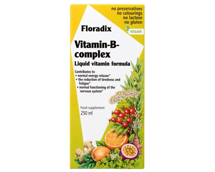 Floradix Salus Vitamin B Complex 250ml Vitamins & Supplements