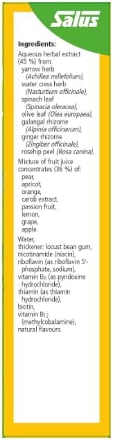 Floradix Salus Vitamin B Complex 250ml Vitamins & Supplements