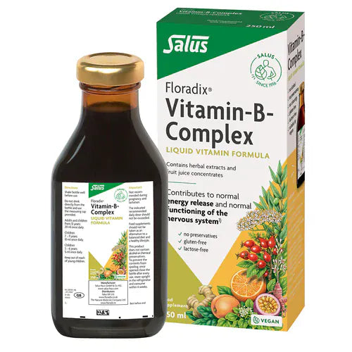 Floradix Salus Vitamin B Complex 250ml Vitamins & Supplements Floradix Salus Vitamin B Complex 250ml