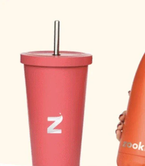 Zooki Stainless Steel Tumbler with Steel Straw 650ml Zooki Stainless Steel Tumbler with Steel Straw 650ml